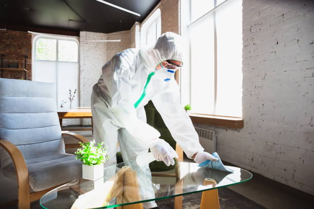 istockphoto-1224841672-612x612