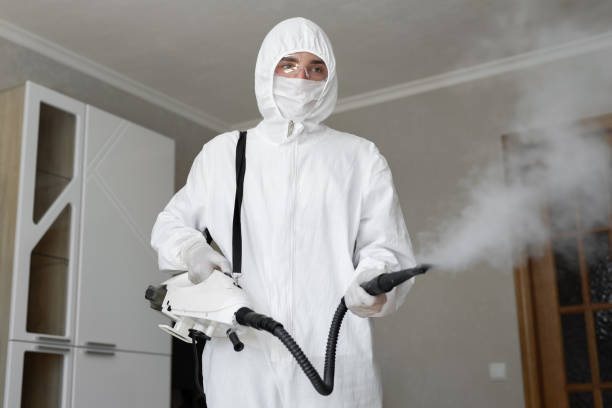 istockphoto-1251021348-612x612